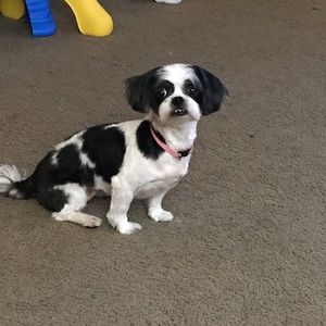 Meet your Posher, Ashlee